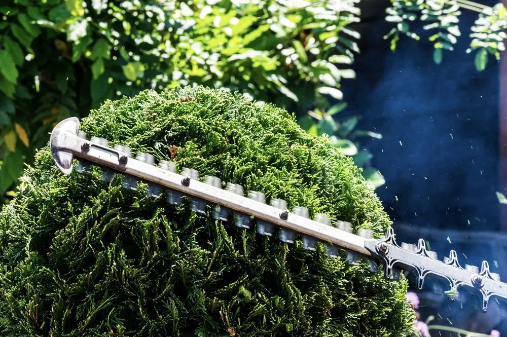 Top-rated landscape design in South Houston, TX - Espinoza Services