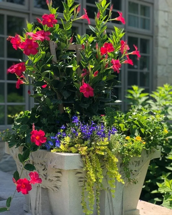 Custom yard cleanup service in Elgin, IL - Espinoza Twin Brothers