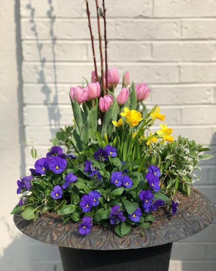 Trusted lawn care service for year-round maintenance across Elgin, IL - Espinoza Twin Brothers