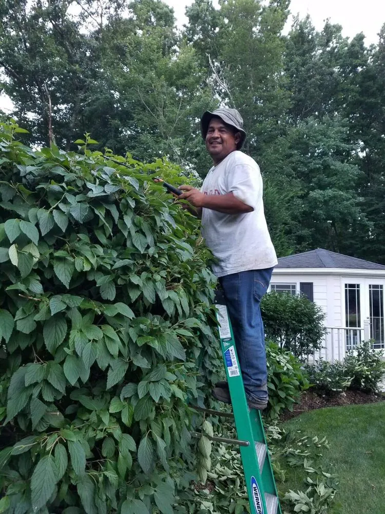 Custom residential landscaping experts serving North Plainfield, NJ - Espinoza’s Landscaping Services