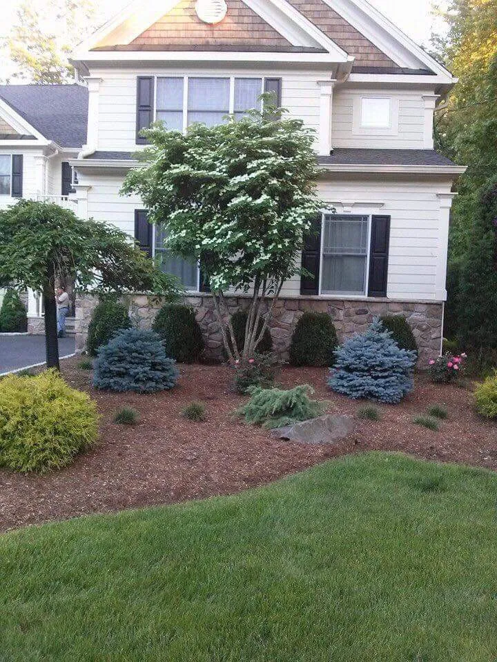 Professional yard cleanup service experts serving North Plainfield, NJ - Espinoza’s Landscaping Services