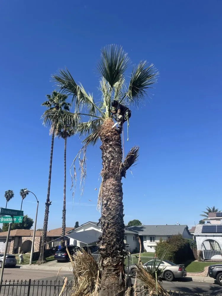 Professional landscape installation near you in Tracy, CA by Espinoza’s Landscaping