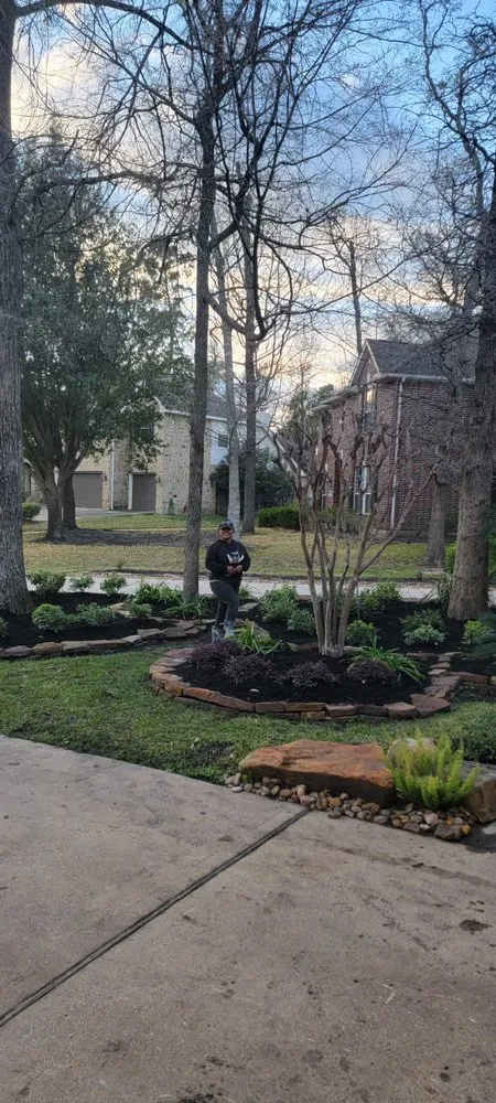 Reliable yard cleanup service for year-round maintenance across Conroe, TX - Espinoza's Lawn Service
