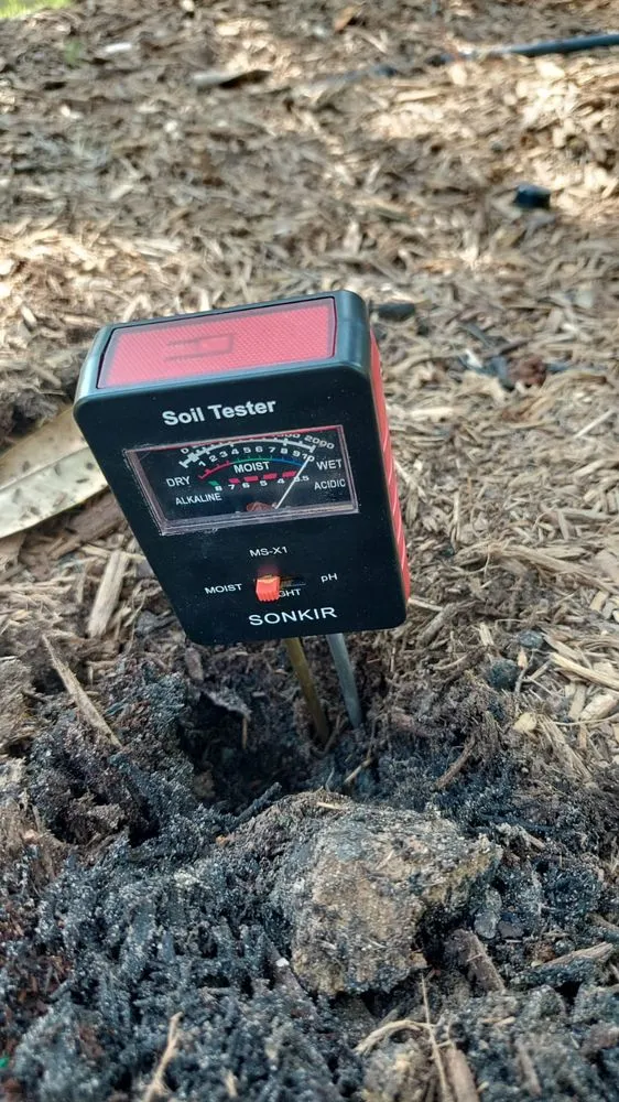 Reliable residential landscaping in Conroe, TX by Espinoza's Lawn Service