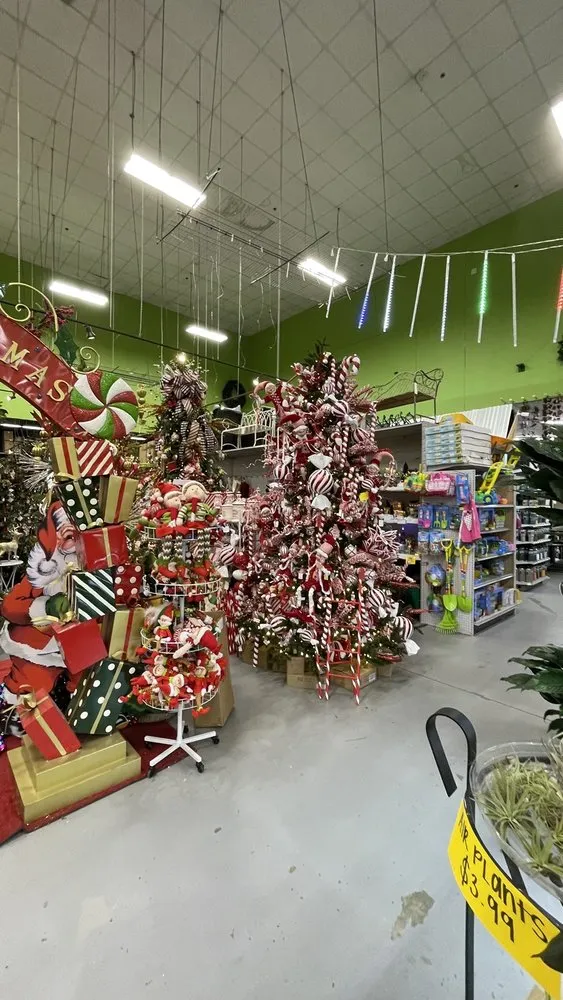 Custom yard maintenance near you across Tallahassee, FL - Esposito Garden Center