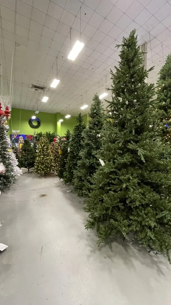 Custom landscape installation in Tallahassee, FL - Esposito Garden Center