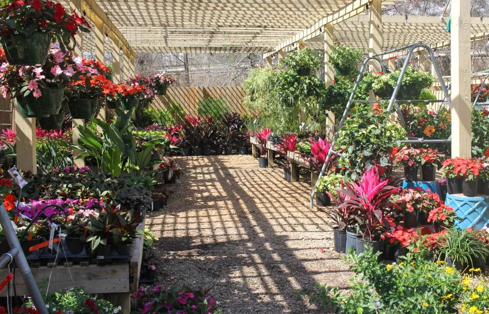 Reliable lawn mowing service for homes across Tallahassee, FL - Esposito Garden Center