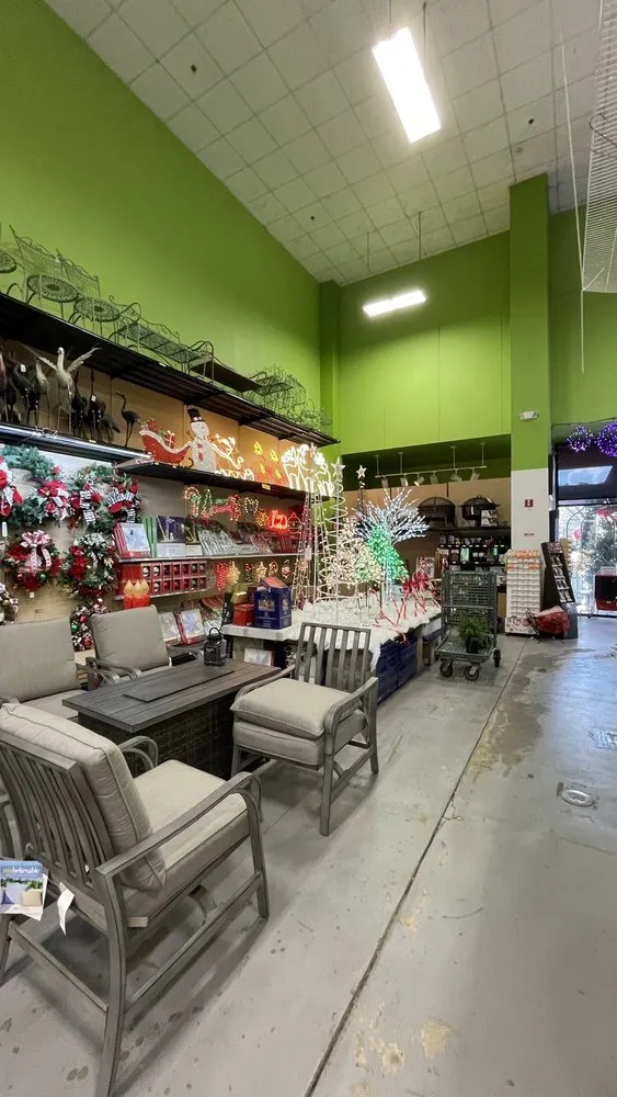 Top-rated yard cleanup service for outdoor upgrades in Tallahassee, FL by Esposito Garden Center