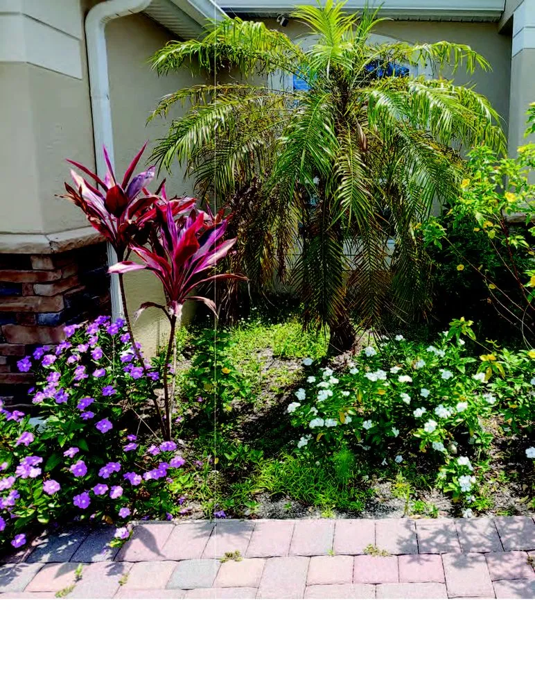 Trusted yard maintenance for outdoor upgrades across Palm Bay, FL - Esposito's Landscaping and Lawn Care