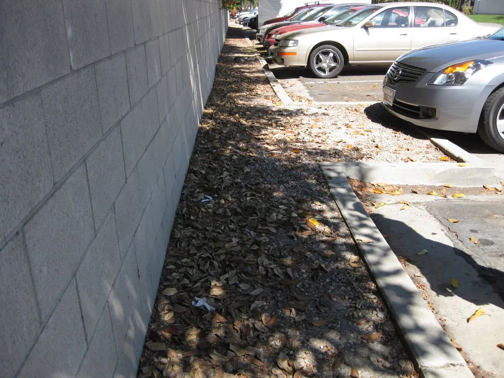 Expert landscape design experts serving La Mesa, CA - Esquire Landscape Maintenance