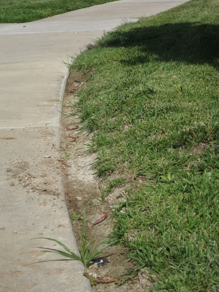 Expert landscaping services in La Mesa, CA - Esquire Landscape Maintenance