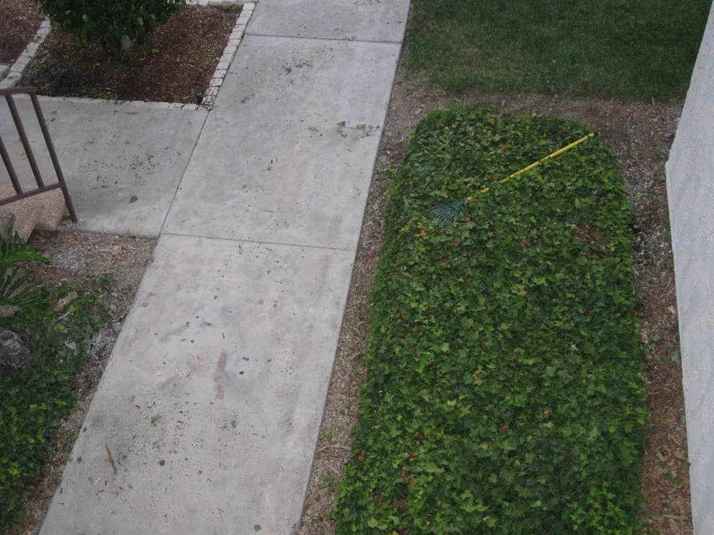 Custom yard maintenance for outdoor upgrades in La Mesa, CA by Esquire Landscape Maintenance