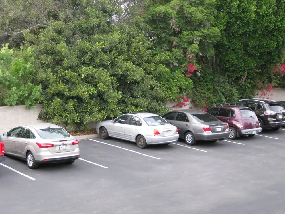 Expert lawn mowing service in La Mesa, CA - Esquire Landscape Maintenance