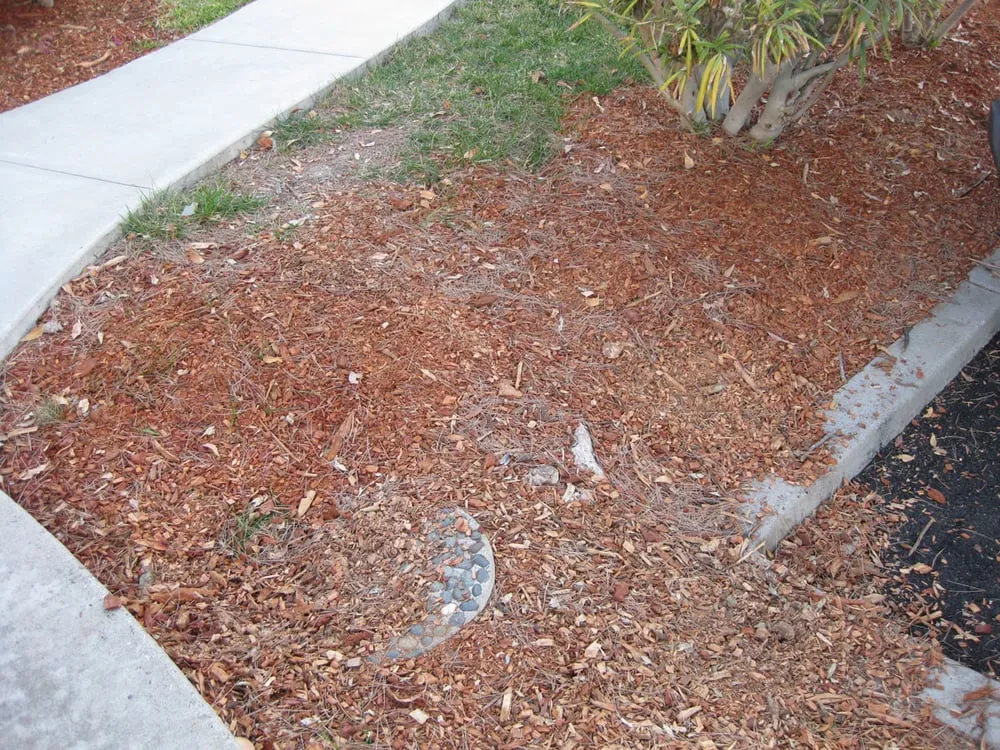 Local residential landscaping for outdoor upgrades in La Mesa, CA by Esquire Landscape Maintenance