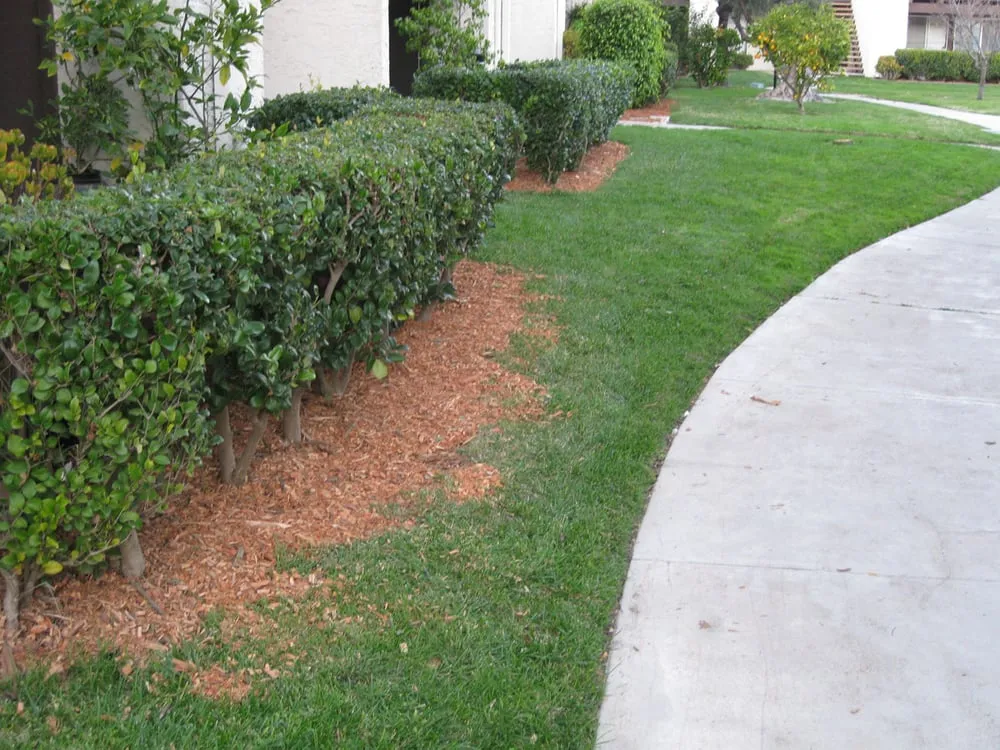 Expert outdoor landscaping in La Mesa, CA by Esquire Landscape Maintenance