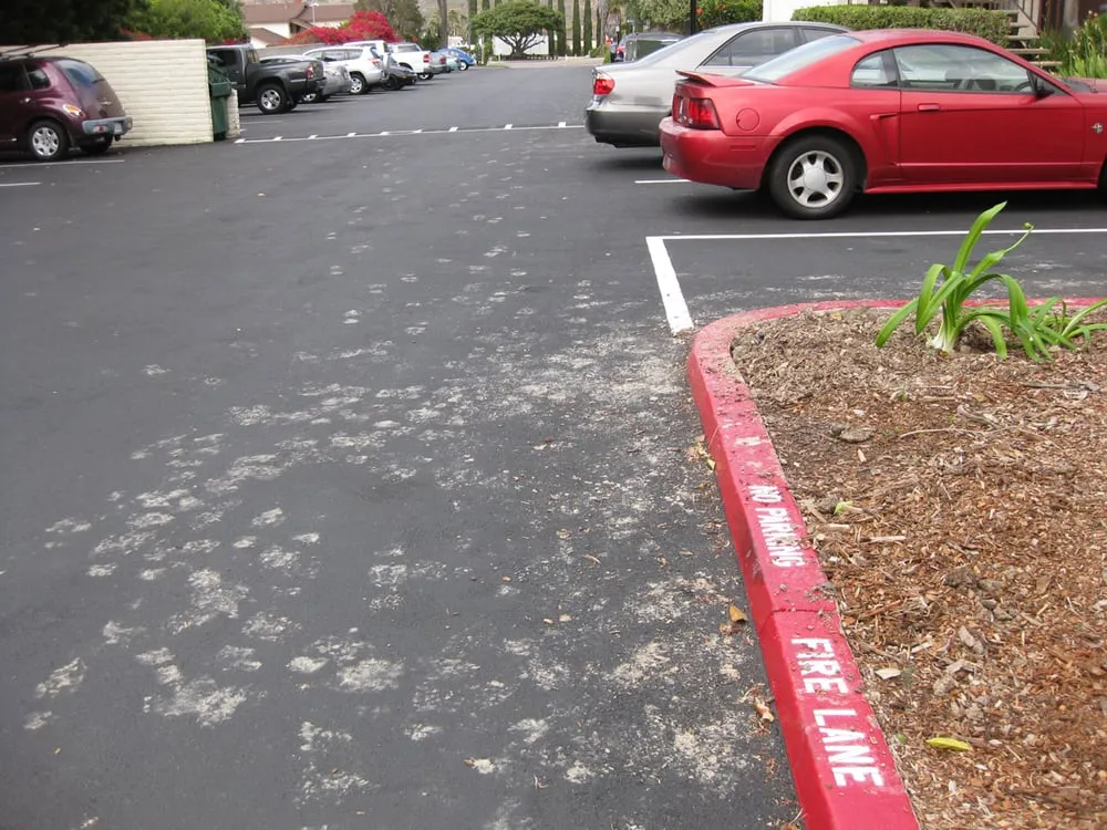 Top-rated yard maintenance with custom design in La Mesa, CA by Esquire Landscape Maintenance