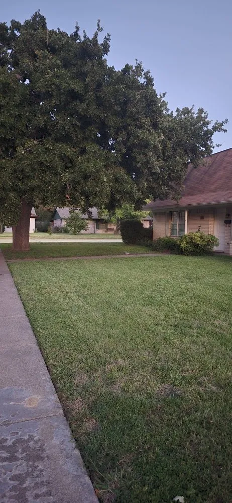 Top-rated yard cleanup service for year-round maintenance in Irving, TX by Esquivel Landscaping & Lawn Care