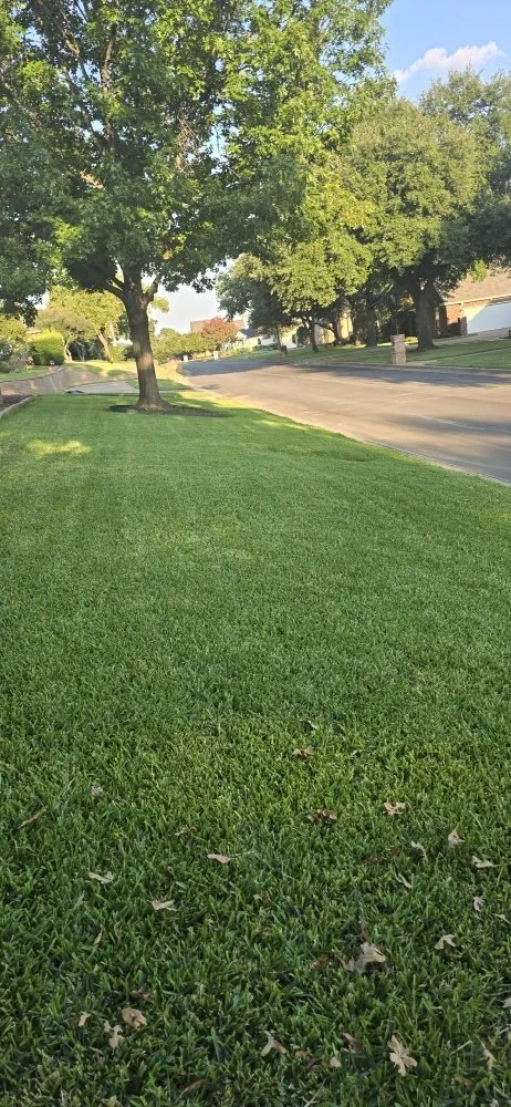 Reliable lawn mowing service experts serving Irving, TX - Esquivel Landscaping & Lawn Care
