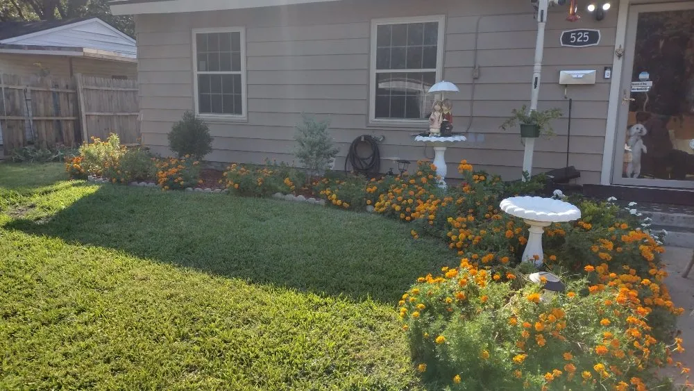 Professional landscape installation for residential properties in Irving, TX by Esquivel Landscaping & Lawn Care