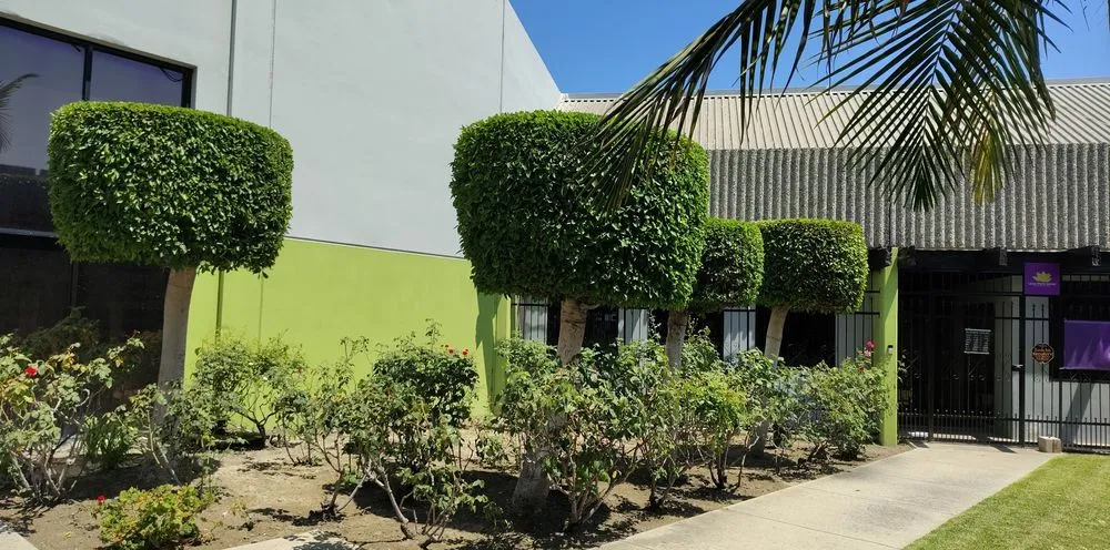 Affordable lawn mowing service in Santa Ana, CA by Esquivel Landscaping Service