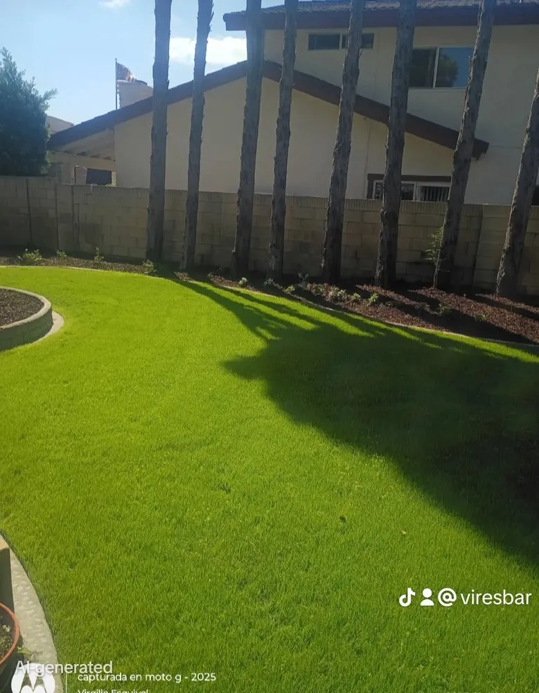 Trusted garden landscaping in Santa Ana, CA - Esquivel Landscaping Service