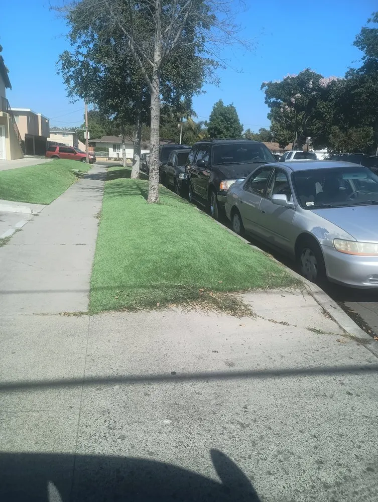 Reliable landscaping services in Santa Ana, CA by Esquivel Landscaping Service