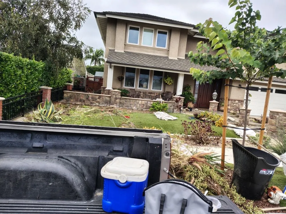 Custom yard cleanup service experts serving Santa Ana, CA - Esquivel Landscaping Service