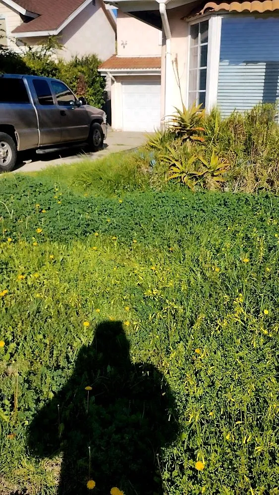 Reliable landscape design experts serving Santa Ana, CA - Esquivel Landscaping Service