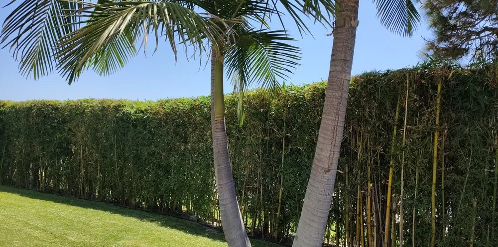 Affordable garden landscaping in Santa Ana, CA - Esquivel Landscaping Service