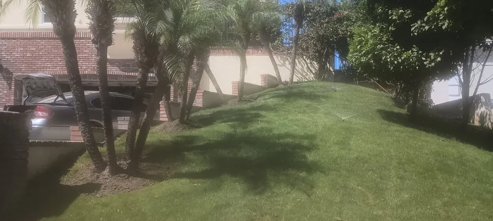 Expert yard cleanup service in Santa Ana, CA by Esquivel Landscaping Service