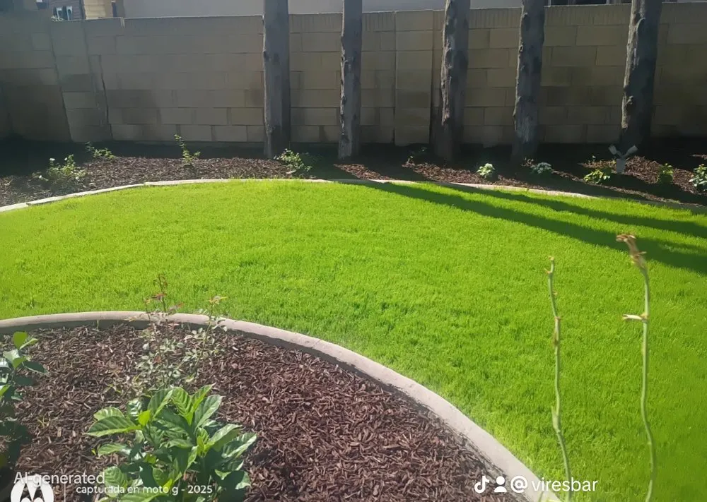 Local residential landscaping experts serving Santa Ana, CA - Esquivel Landscaping Service