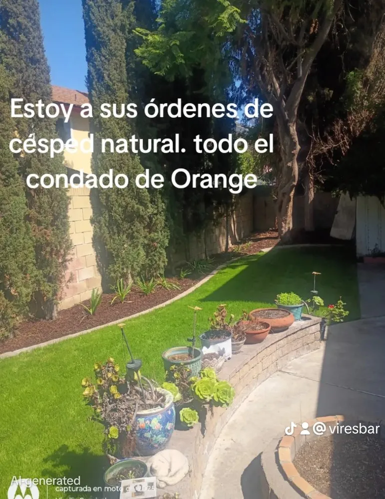 Top-rated yard maintenance in Santa Ana, CA - Esquivel Landscaping Service