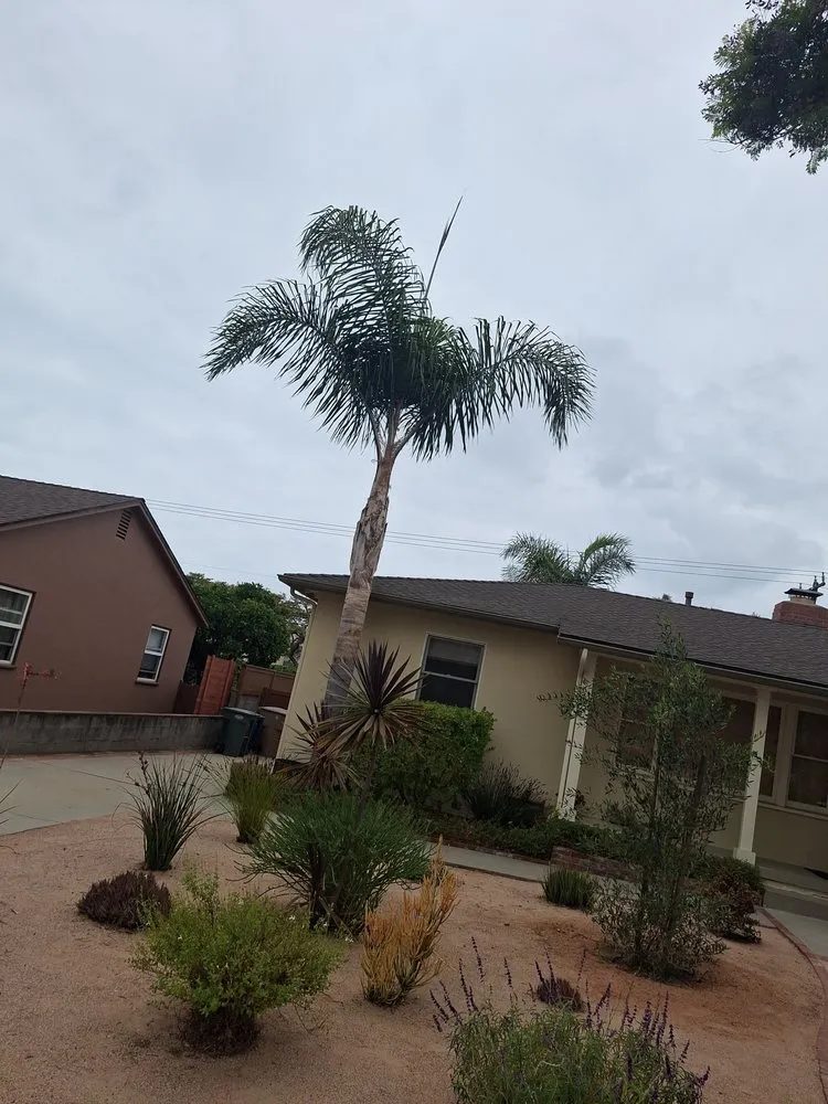 Top-rated landscape installation with custom design across Camarillo, CA - Esquivels Landscaping