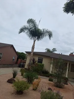 Esquivels Landscaping Logo