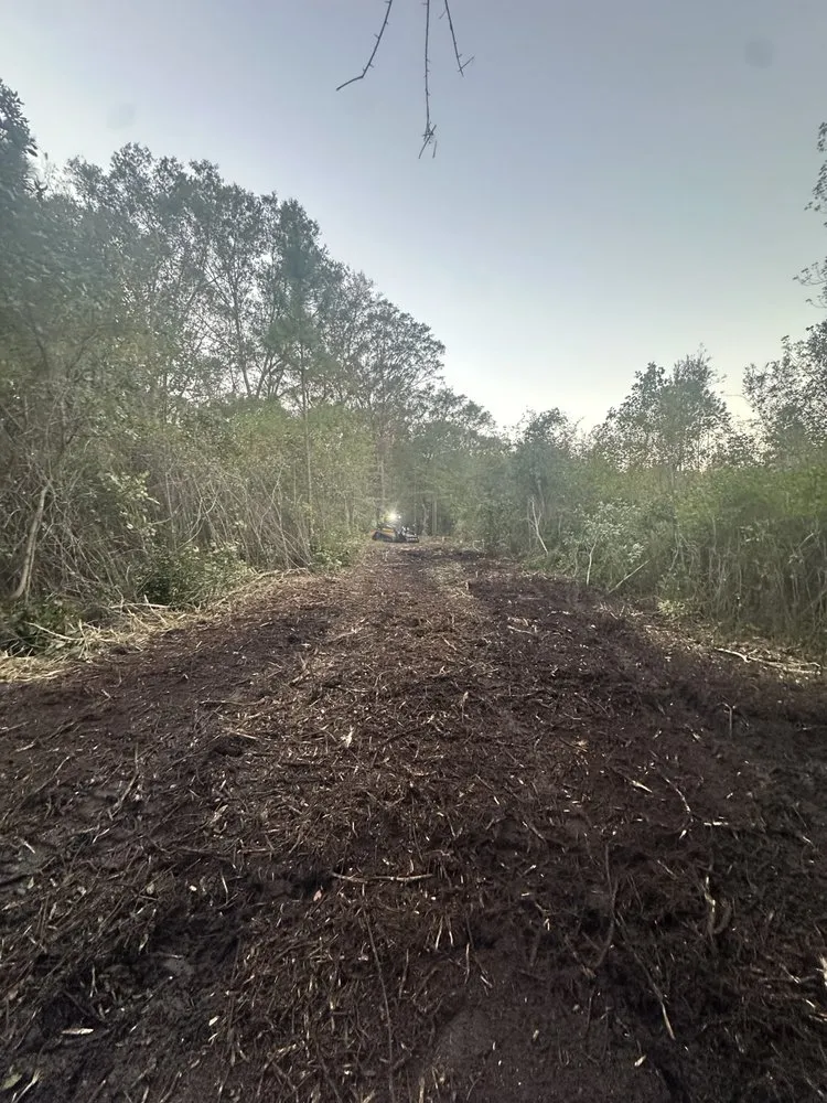 Professional garden landscaping for beautiful yards in Fitzgerald, GA by ESR Land Management