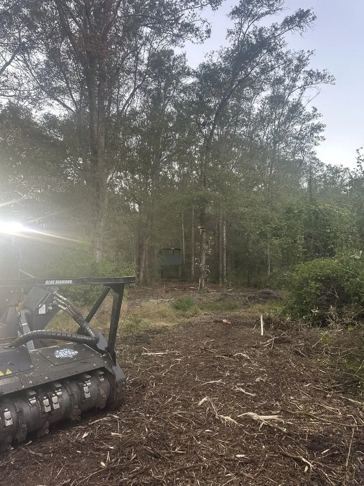 Reliable landscaping services for outdoor upgrades across Fitzgerald, GA - ESR Land Management