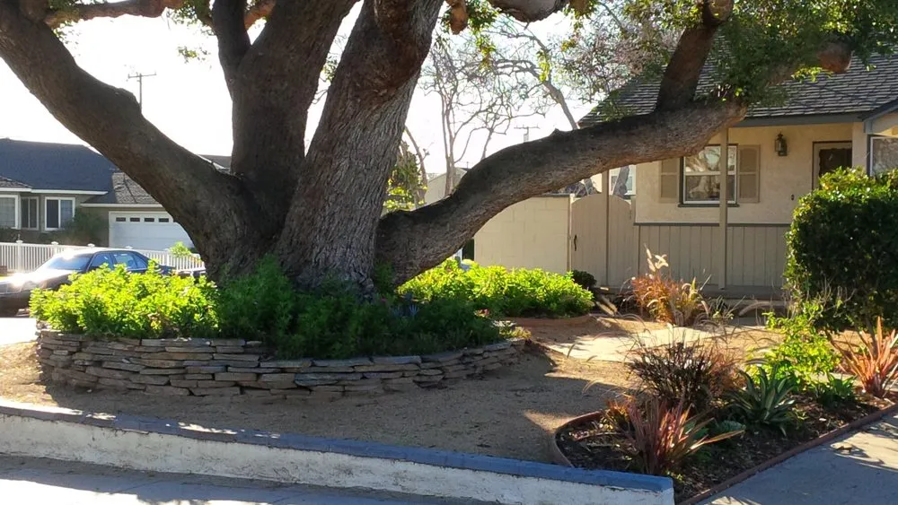 Top-rated outdoor landscaping for year-round maintenance in Indiana, PA by EsScapes Rehab & Renovations