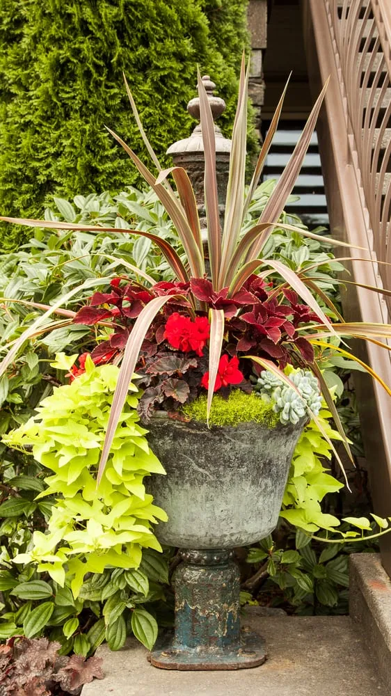 Custom residential landscaping experts serving Seattle, WA - Essential Gardeners