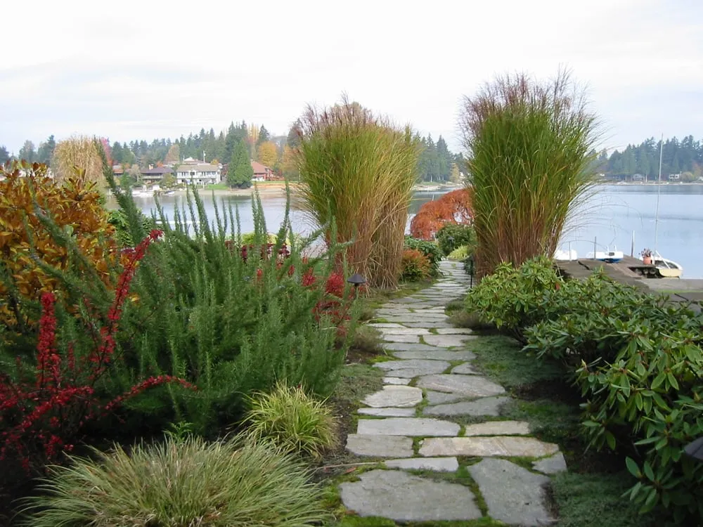 Affordable yard cleanup service for residential properties across Seattle, WA - Essential Gardeners