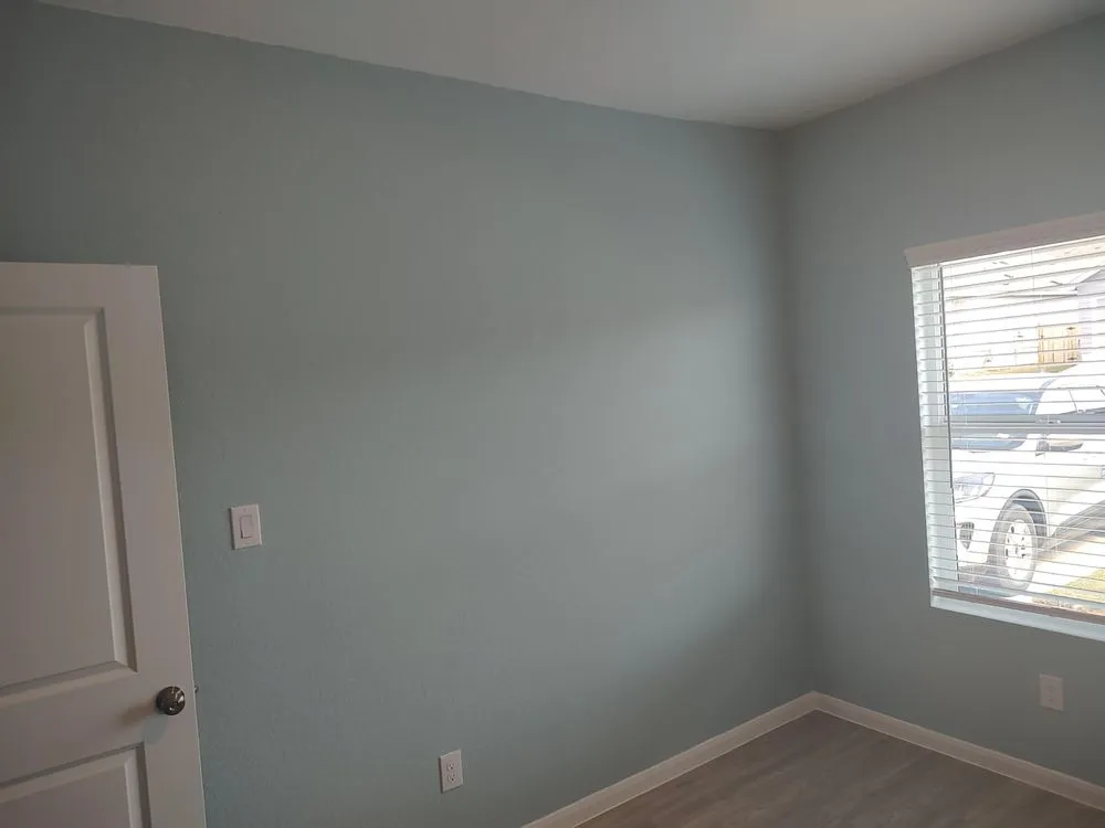 Local yard cleanup service near you across Bulverde, TX - Essential Home Needs