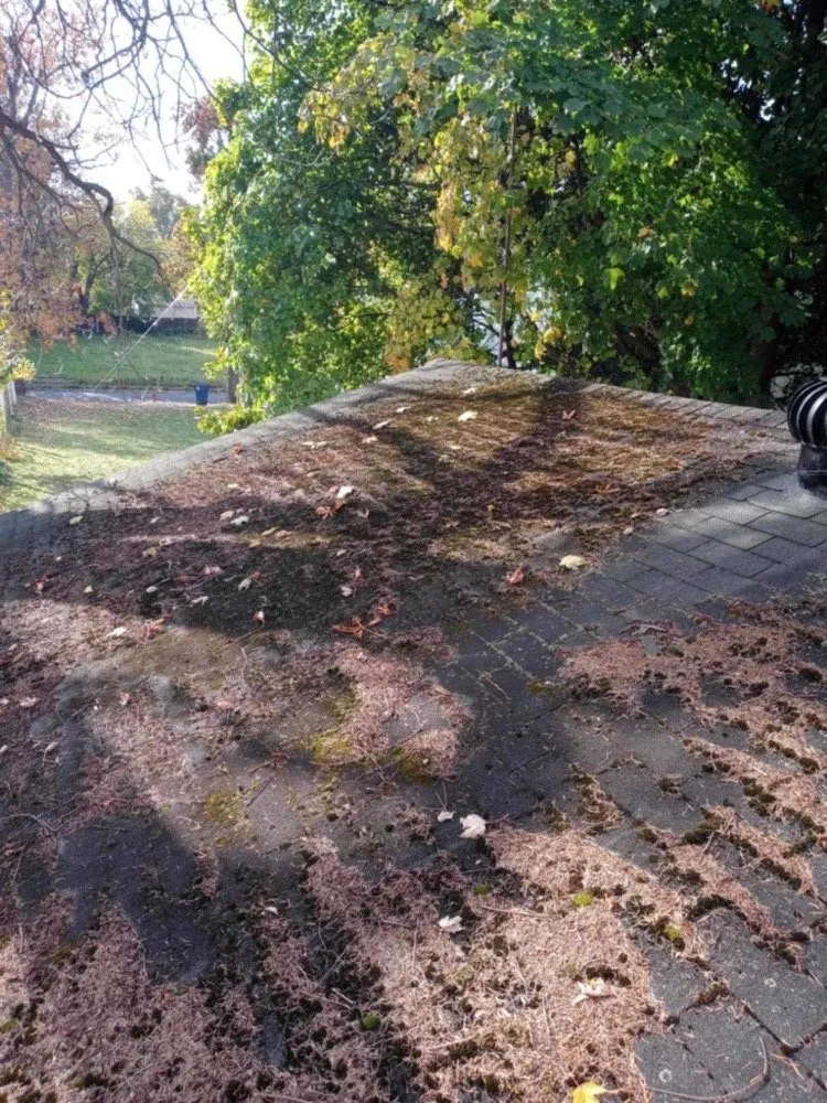 Custom landscape design in Niagara Falls, NY by Essential Homecare Solutions