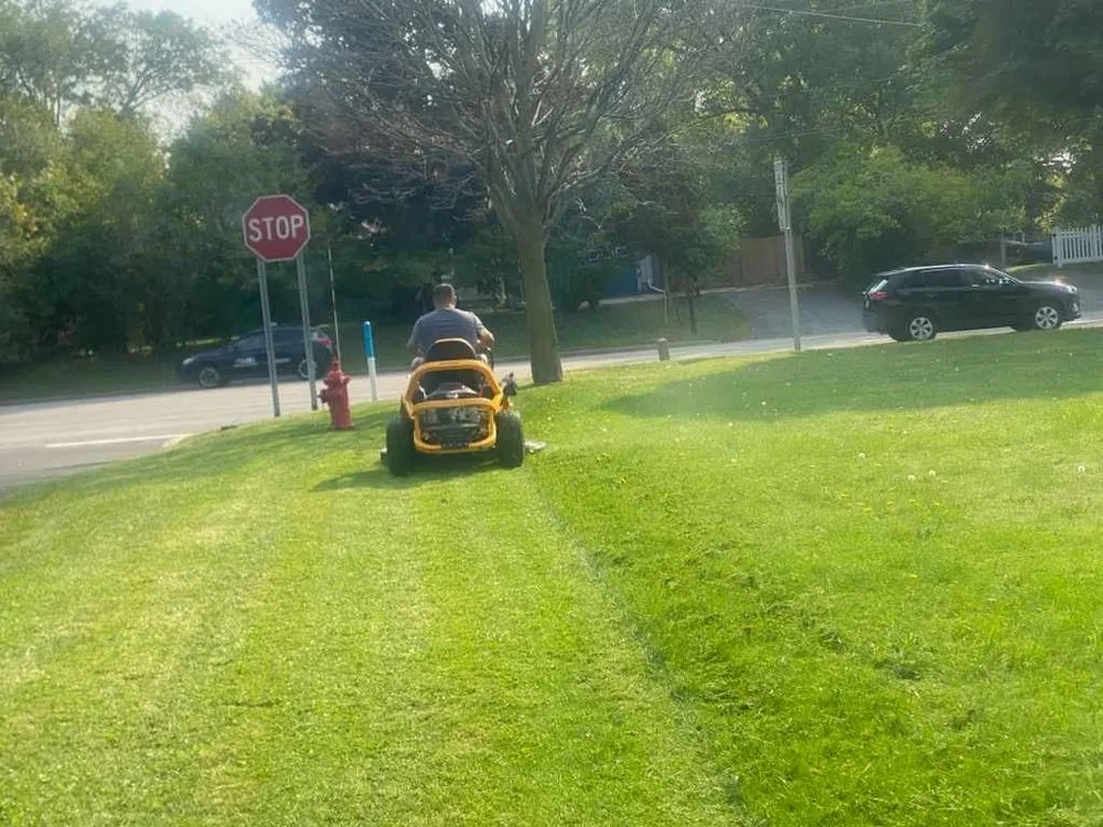 Custom yard cleanup service in Niagara Falls, NY - Essential Homecare Solutions