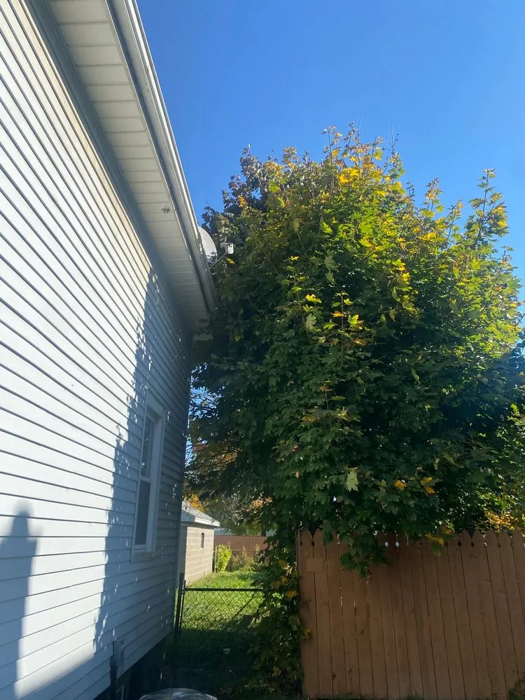 Expert landscape design experts serving Niagara Falls, NY - Essential Homecare Solutions