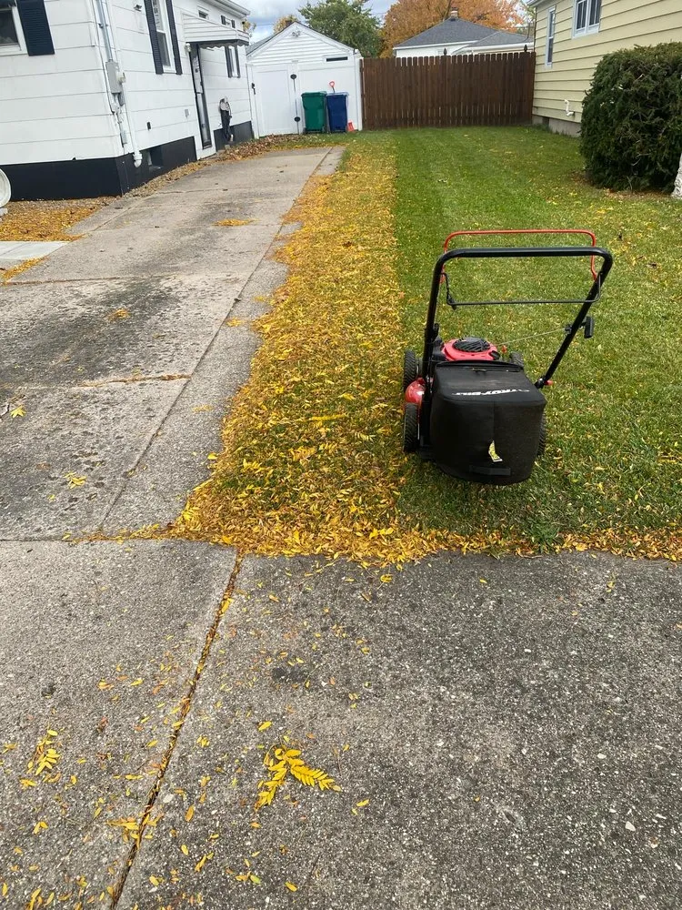 Trusted yard cleanup service experts serving Niagara Falls, NY - Essential Homecare Solutions