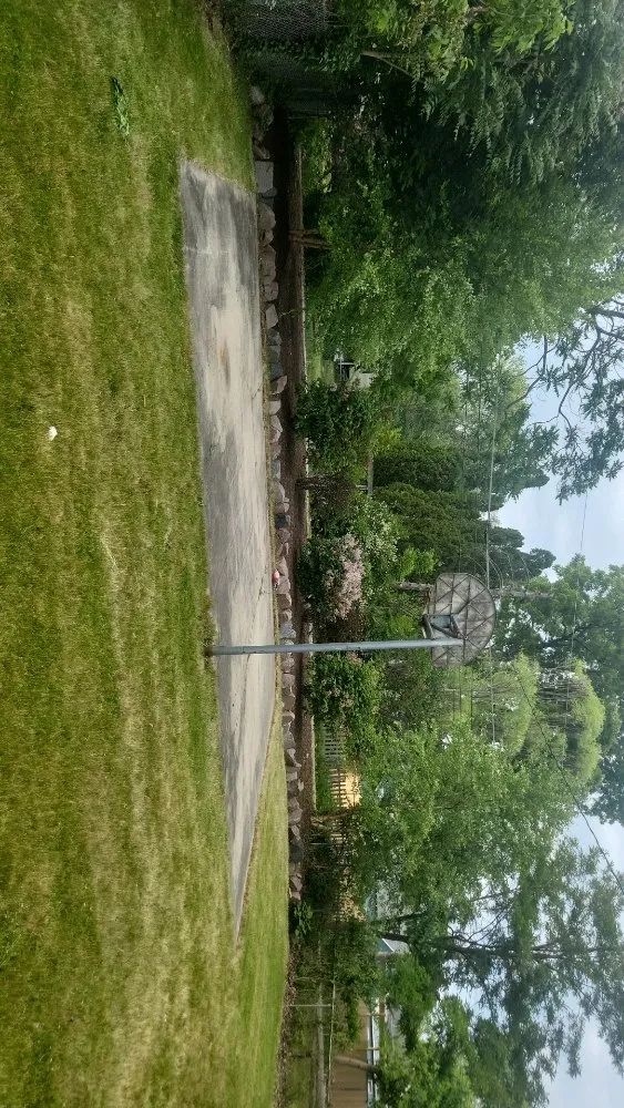 Expert yard cleanup service with custom design across Beach Park, IL - Essential Landscape