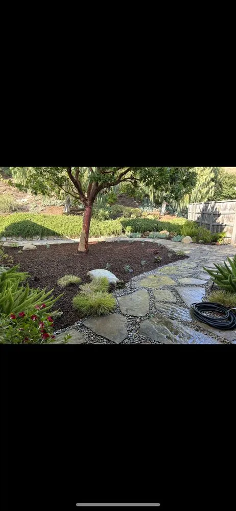 Affordable landscaping services near you in Santa Barbara, CA by Essential Landscapes