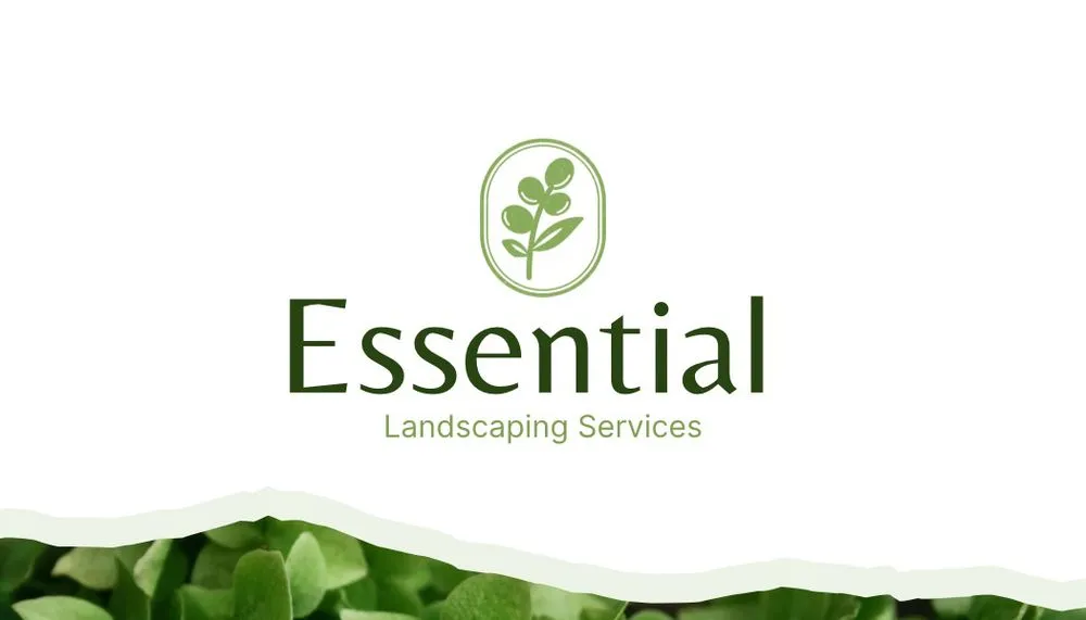 Professional yard maintenance in Cedar Creek, TX by Essential Landscaping