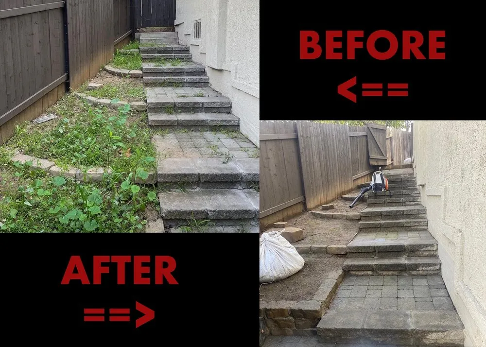 Local yard cleanup service in San Marcos, CA - Essential Landscaping Company