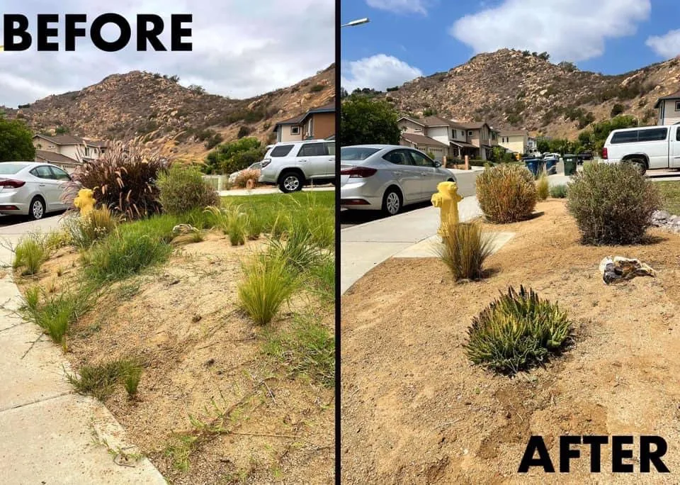 Affordable landscaping services for beautiful yards across San Marcos, CA - Essential Landscaping Company