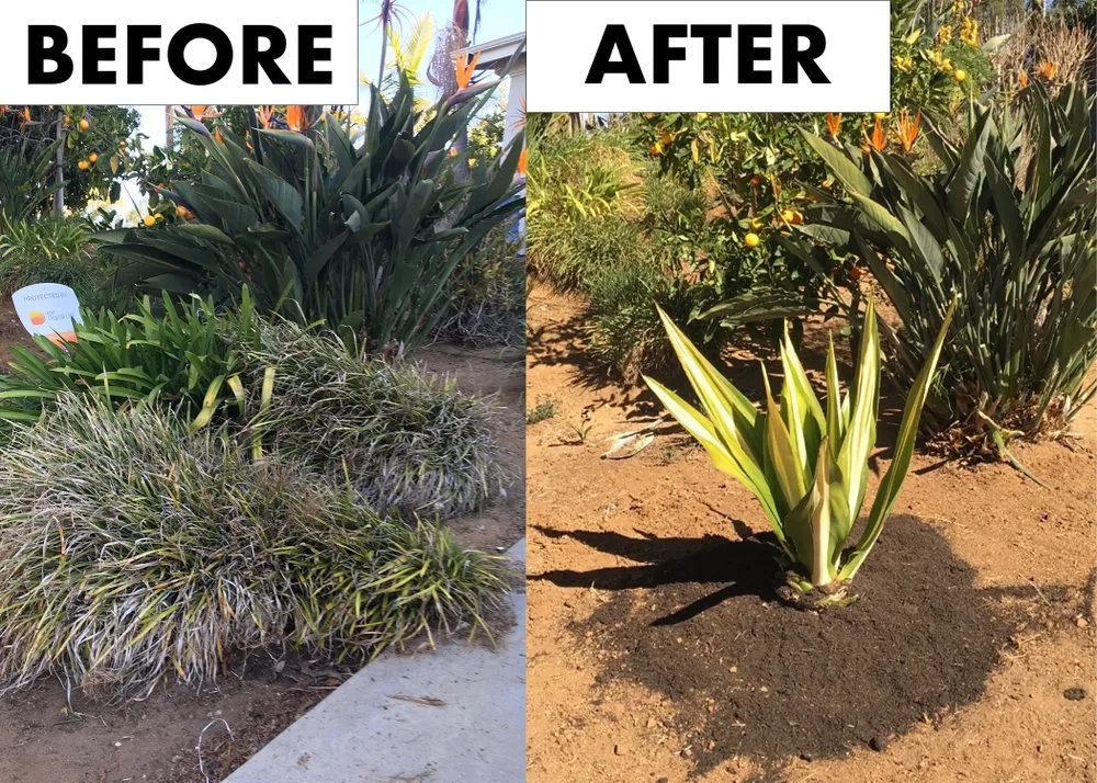 Local outdoor landscaping experts serving San Marcos, CA - Essential Landscaping Company